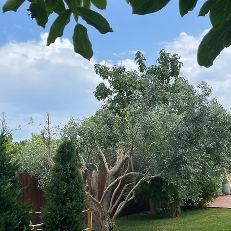 Ellie's Eco Private Glamping And