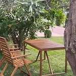 Ellie's Eco Private Glamping And Camping